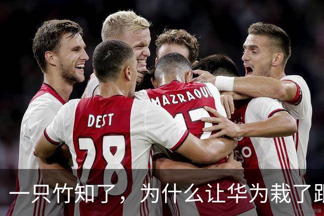 一只竹知了，为什么让华为栽了跟头？