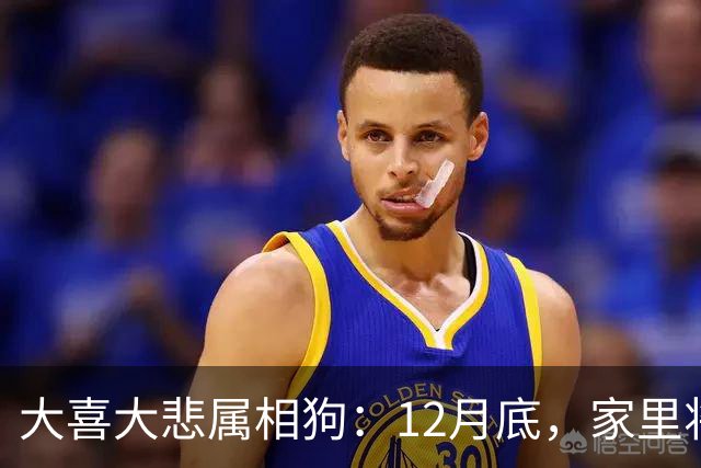 大喜大悲属相狗：12月底，家里将发生5件大事，提前准备