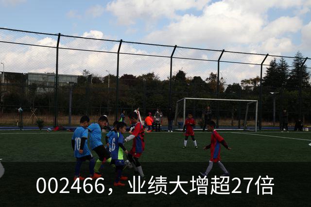 002466，业绩大增超27倍